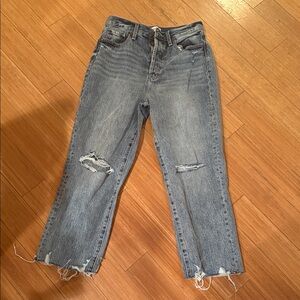 Pistola Blue Distressed Straight Leg Jeans